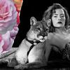 #_13_sarah_cougar4