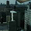 15_back_carlyle_cell